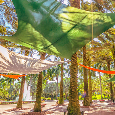 canopy within palm trees near fountain