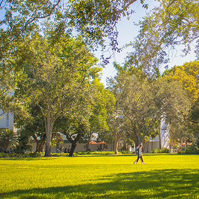 students walking in greenery on campus